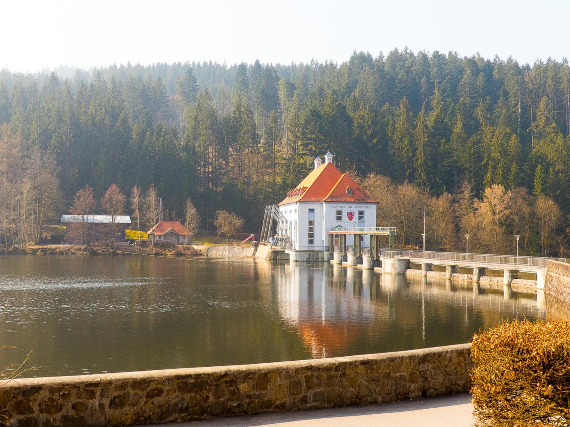 Ferienhaus Nr 7, Typ B, Feriendorf Jaegerpark, Bayerischer Wald ヴィヒタッハ エクステリア 写真